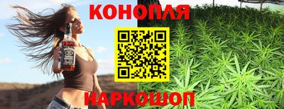 крисы Кунгур