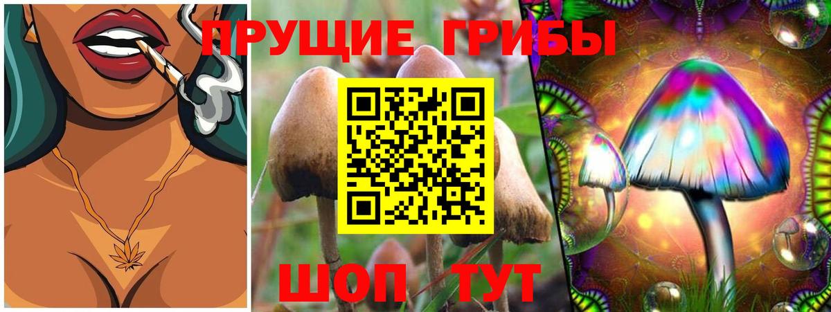 Златоуст  Галлюциногенные грибы прущие грибы  Вход с VPN 
