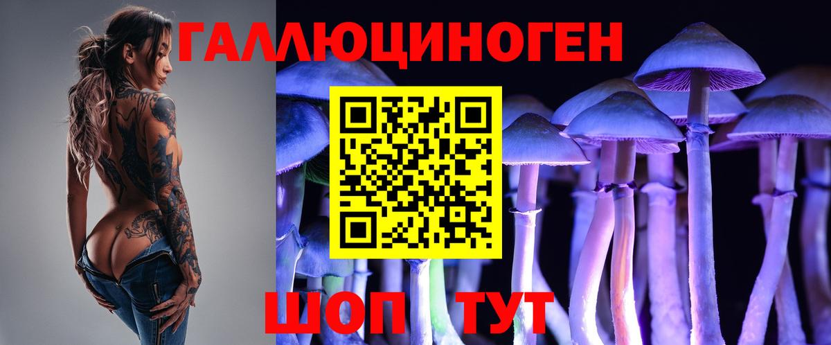Псилоцибиновые грибы MAGIC MUSHROOMS Златоуст